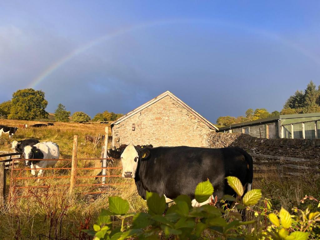Fotografie z fotogalerie ubytování Stoneymollan over Loch Lomond v destinaci Balloch