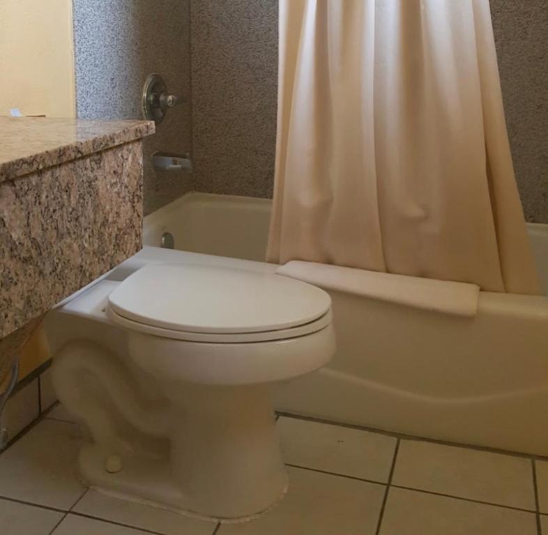 a bathroom with a toilet and a shower and a tub at Budget Inn in Coleman
