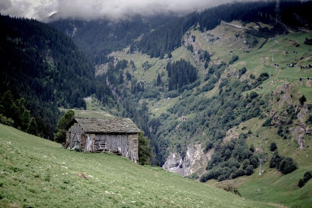 Příroda nedaleko apartmánu