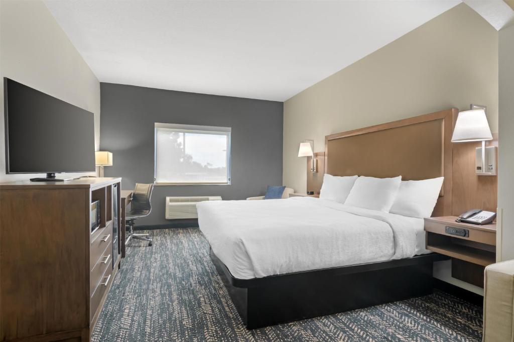 Best Western Plus Washington Hotel - 特大号床间 - 带沙发床 - 禁烟