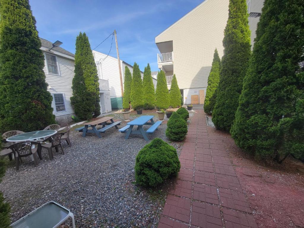 Ships Inn - 