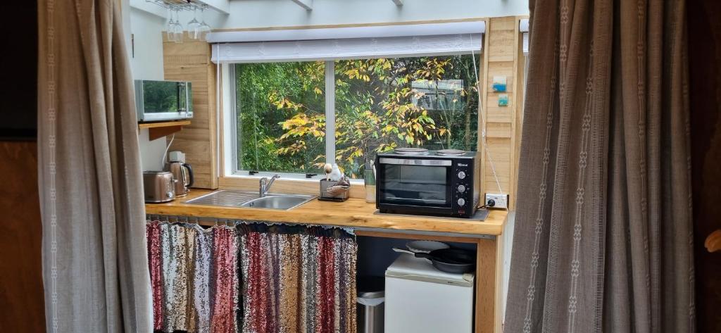 eine Küche mit einer Spüle und einer Mikrowelle auf der Theke in der Unterkunft Rameka Chalet in Takaka