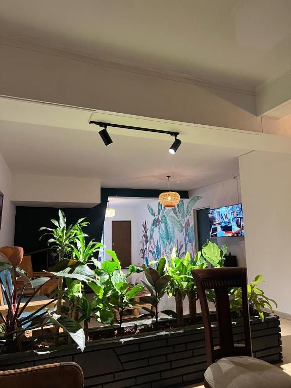 TV a/nebo společenská místnost v ubytování Laureles Garden Hostel