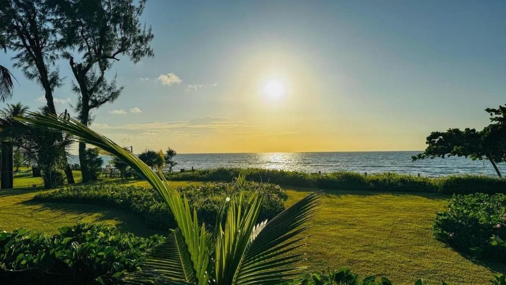 Naturlandskabet i nærheden af lejligheden