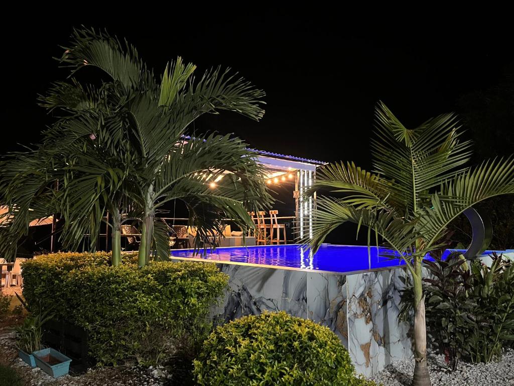 Una piscina de noche con palmeras. en Montaña Serena, en Doradal