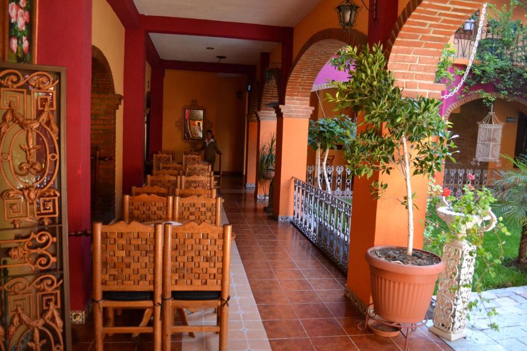 un couloir d'un bâtiment avec une plante dans un pot dans l'établissement Hotel Boutique Posada la Casona de Cortés, à Tlaxcala de Xicohténcatl