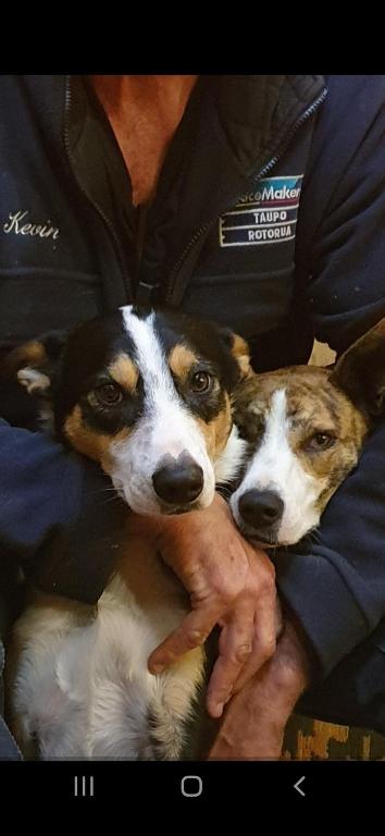a man holding two dogs in his lap at Rough Meadows - MTB Haven & Good Vibes Retreat in Rotorua