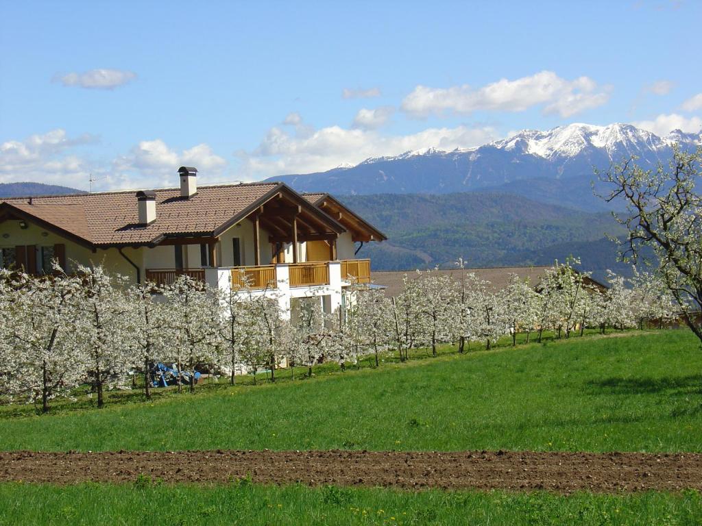 a house with a bunch of white trees in a field at Agriturismo Girasole in Fai della Paganella