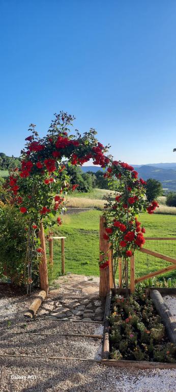 Vonkajšia záhrada v ubytovaní Agriturismo Il Truffarello TODI