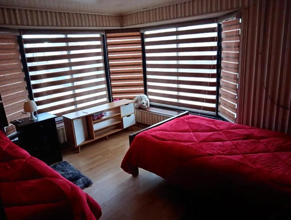um quarto com uma cama e um cachorro sentado em frente às janelas em Hostal Aurora Coronel em Concepción
