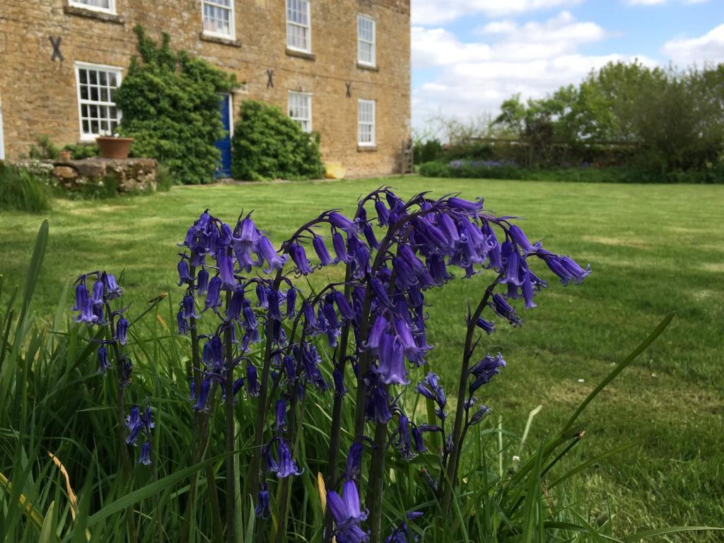 um grupo de flores roxas em frente a um edifício em Cotswolds Mine Hill House em Lower Brailes