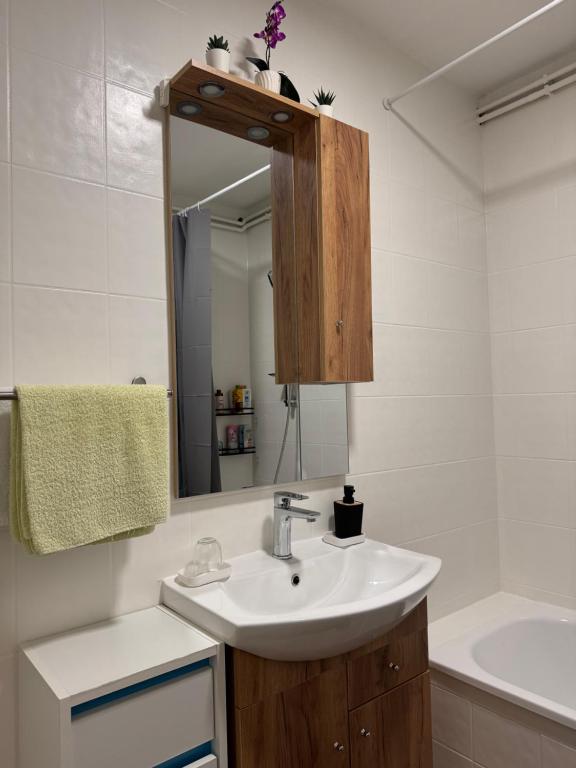 Kúpeľňa v ubytovaní Apartment T&M Zagreb Airport