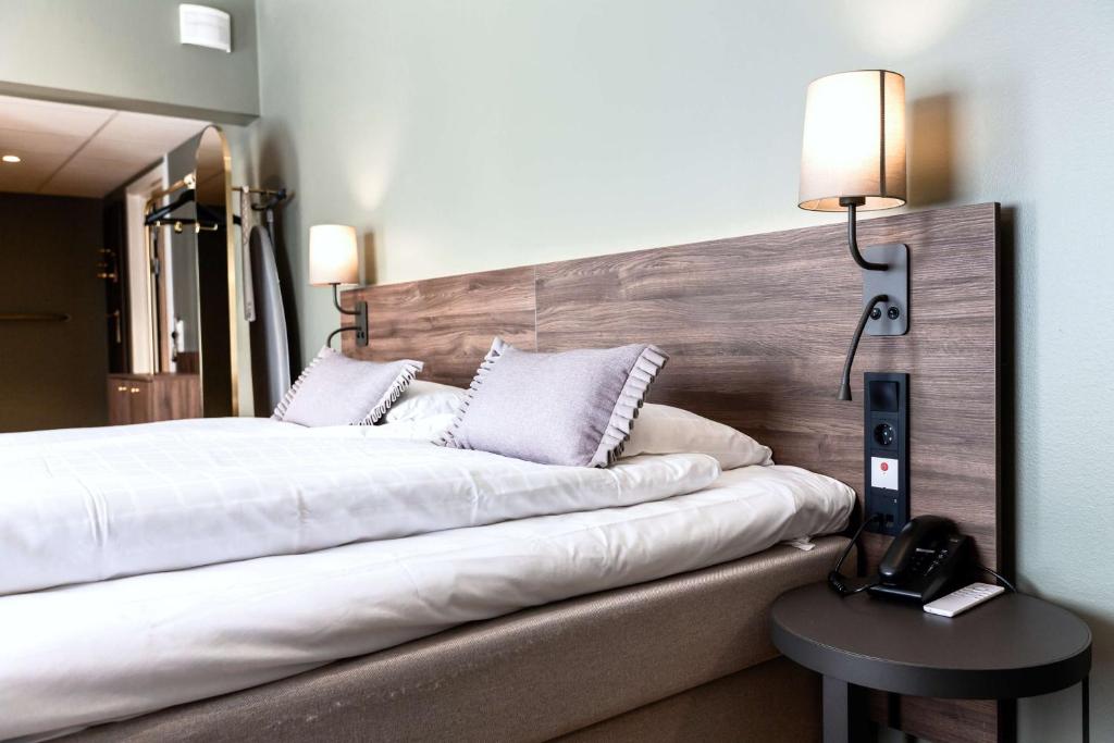 Scandic Uplandia - Resim 19