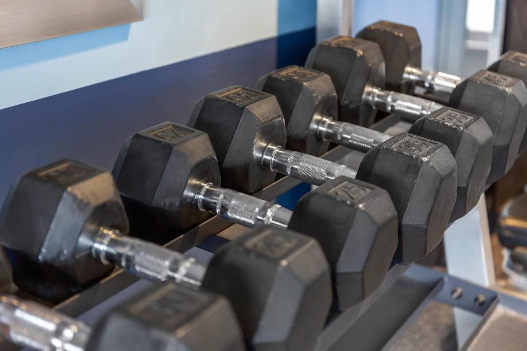 Fitness centrum a/nebo fitness zařízení v ubytování Radisson Hotel Detroit Metro Airport