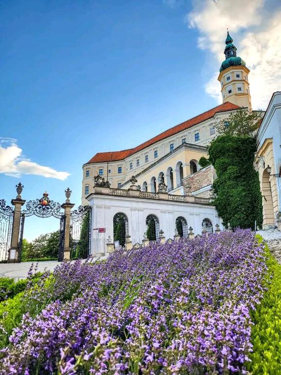 Familly Apartmens - 10