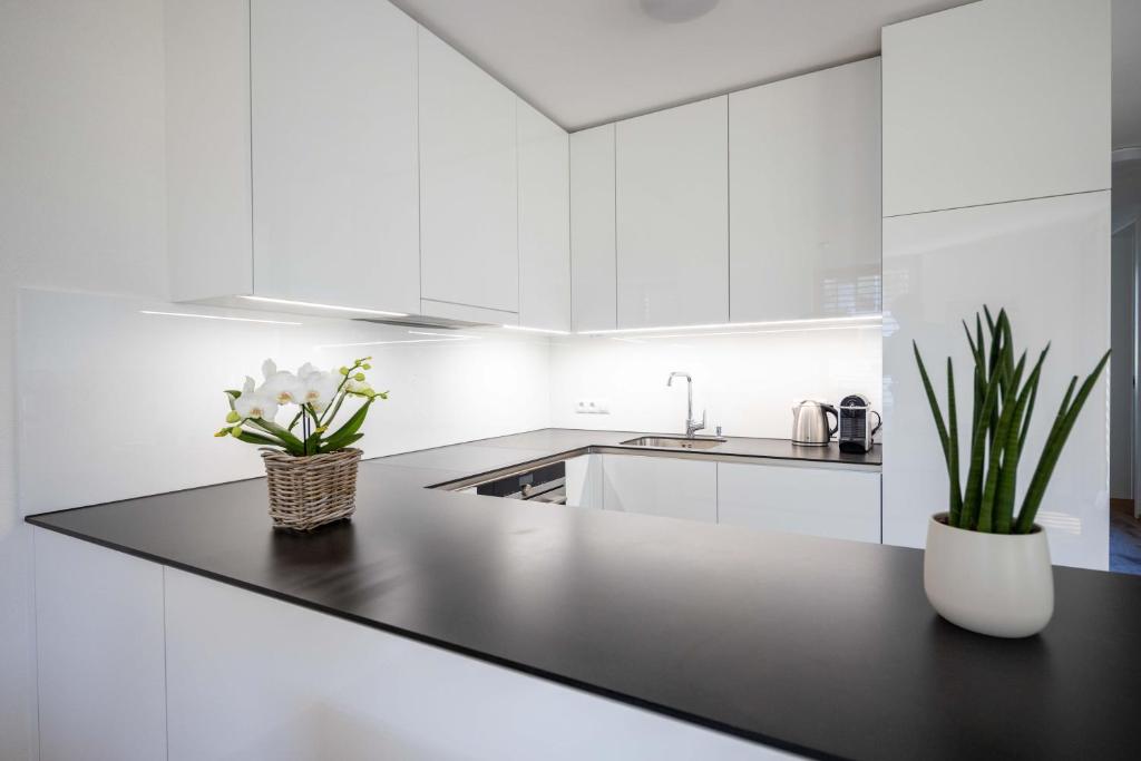 Kuchyňa alebo kuchynka v ubytovaní Krone Apartments Schruns, Top 10