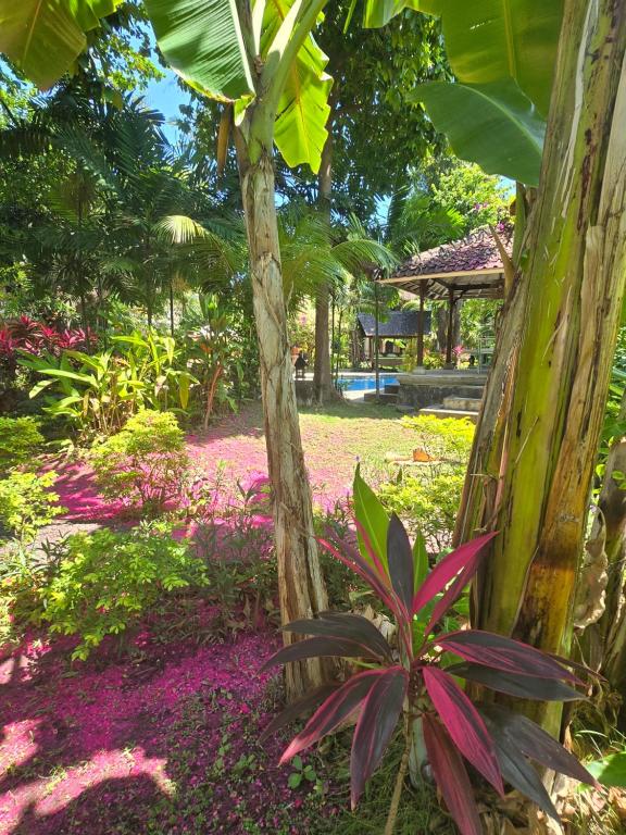 a garden with purple flowers and a tree at Rambutan Hotel in Lovina