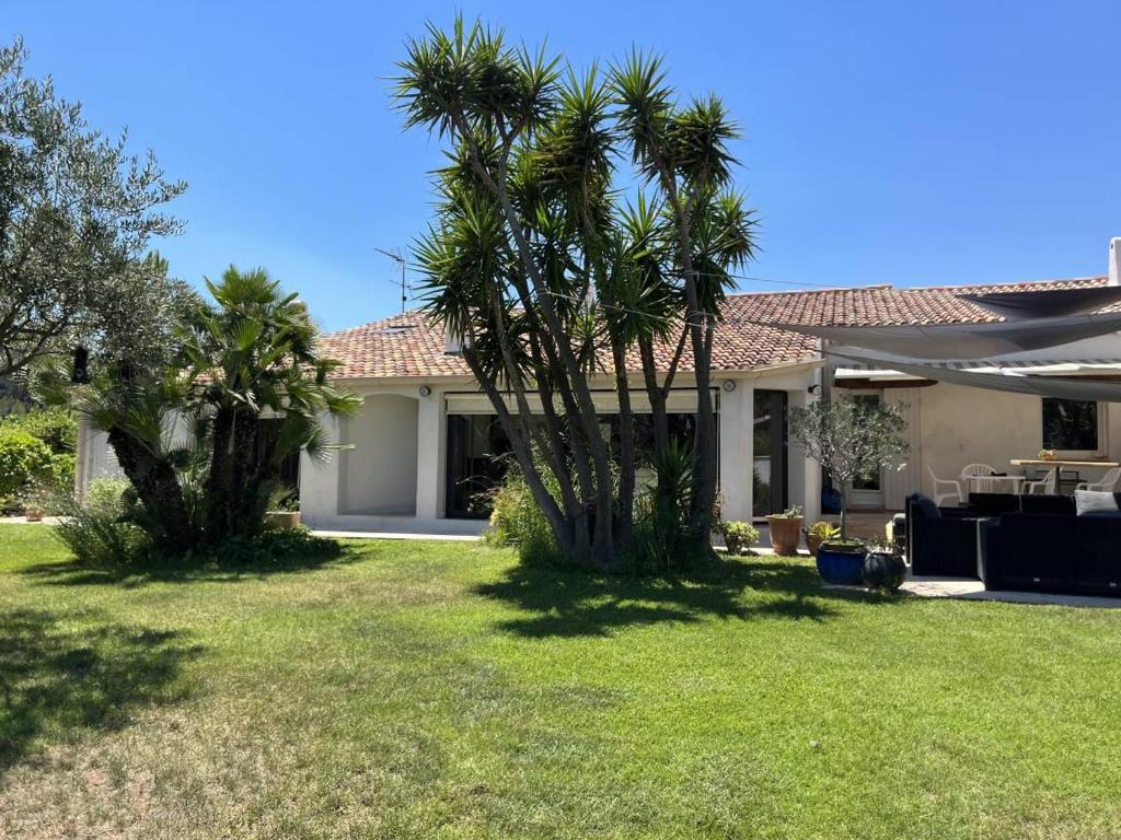 une maison avec un palmier dans la cour dans l'établissement Le MOTU, à Cuers