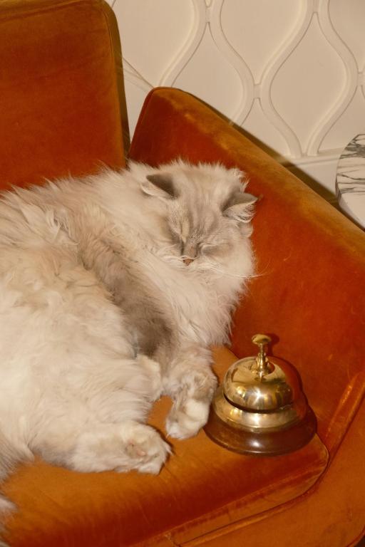 Hôtel Thoumieux - Resim 25