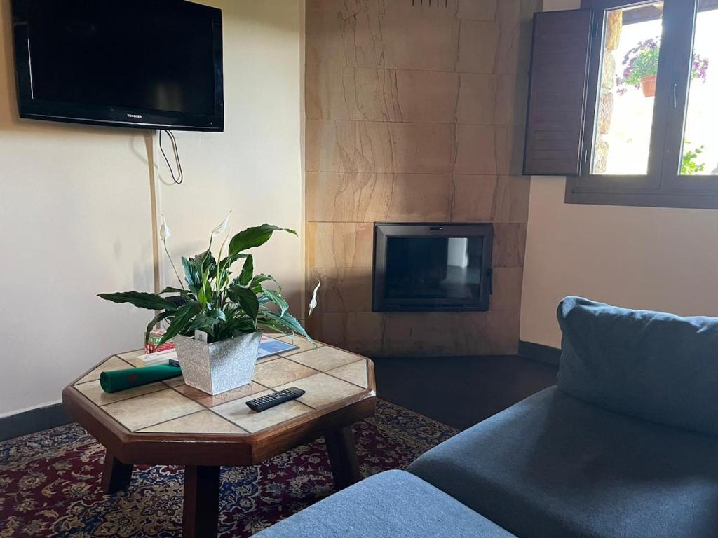 a living room with a couch and a table with a plant at Casona Asturiana Casa Delfa in Cervera
