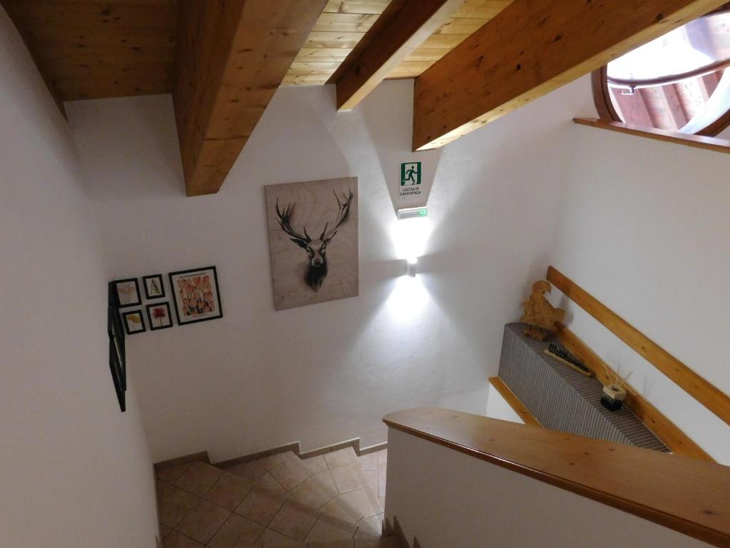 Fotografie z fotogalerie ubytování Mendel Stube v destinaci Cavareno
