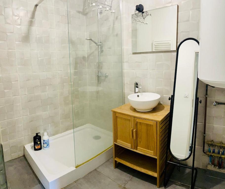 Un baño con lavabo y ducha de cristal. en Auprès du Rhône, en Saint-Vallier