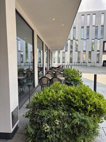 Zander K Hotel - Resim 4