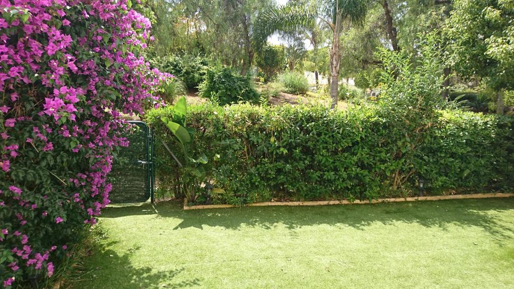 Vonkajšia záhrada v ubytovaní Marbella Puerto Banus Apartamento 2 rooms, 4 personas Bajo con jardin
