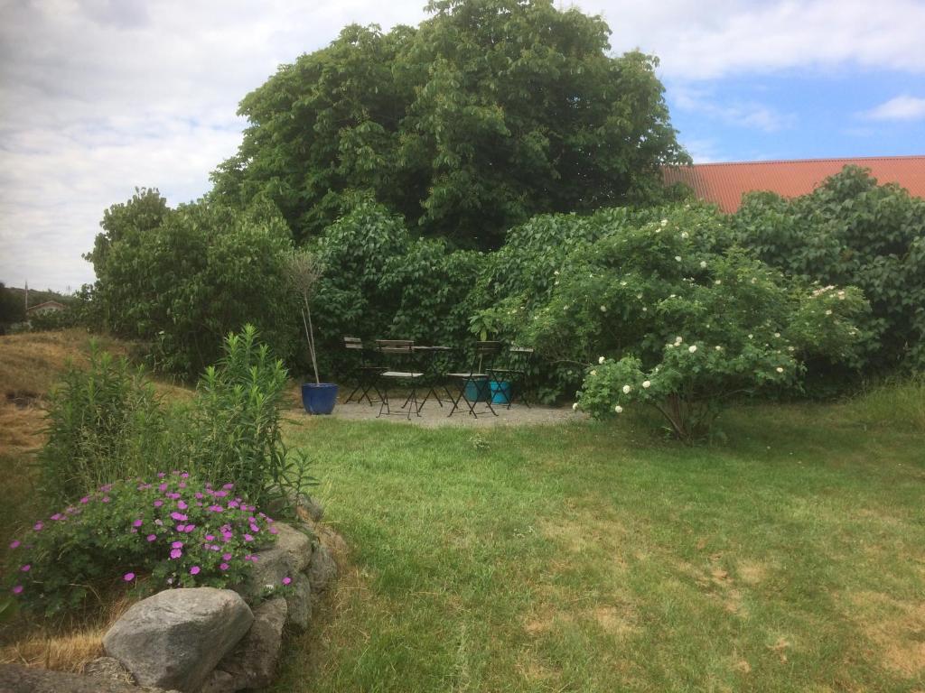 Zahrada ubytování Rovor och Rum Rännet