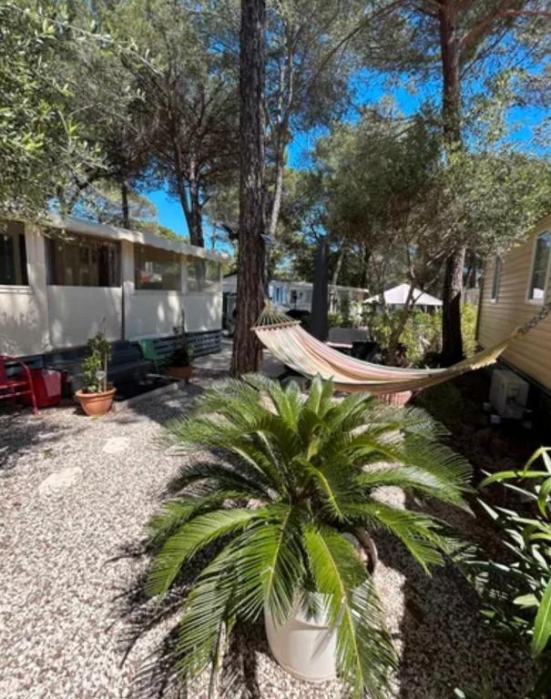 - un hamac dans une cour à côté d'une maison dans l'établissement Mobilhome 8 places Oasis Village, à Puget-sur Argens