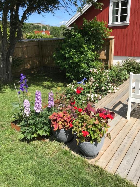 Zahrada ubytování Rovor och Rum Rännet