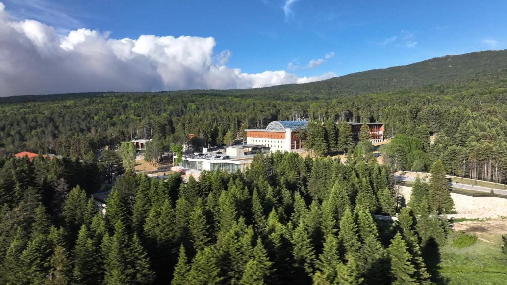 Příroda nedaleko hotelu