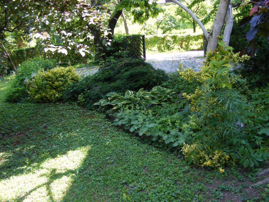 Um jardim no exterior de Guesthouse Marko