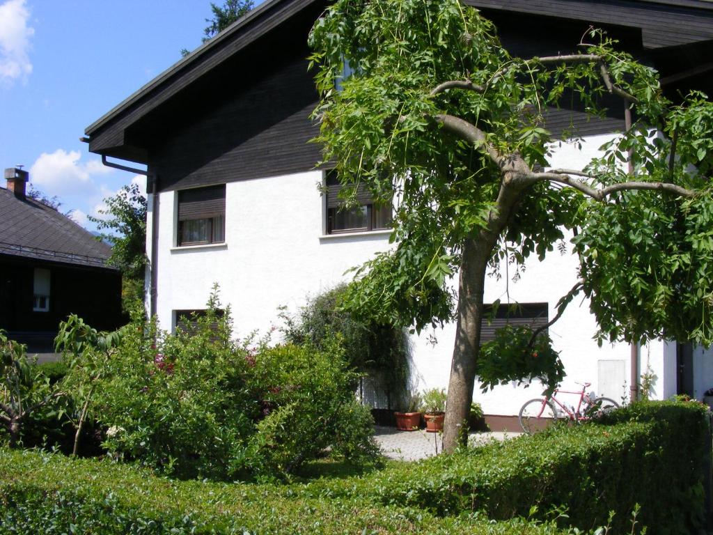 Um jardim no exterior de Guesthouse Marko