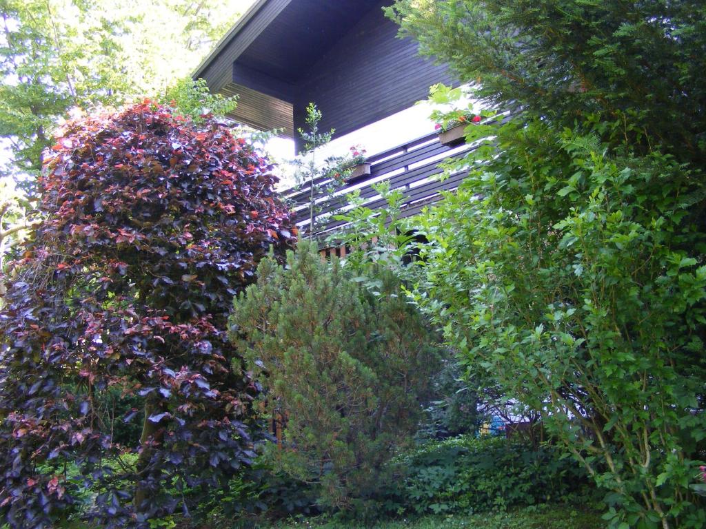 Um jardim no exterior de Guesthouse Marko