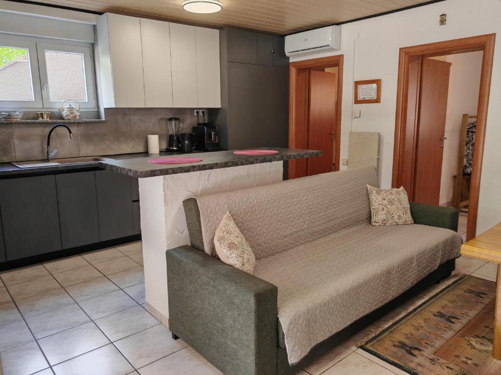 Apartments Ivanka G - 10