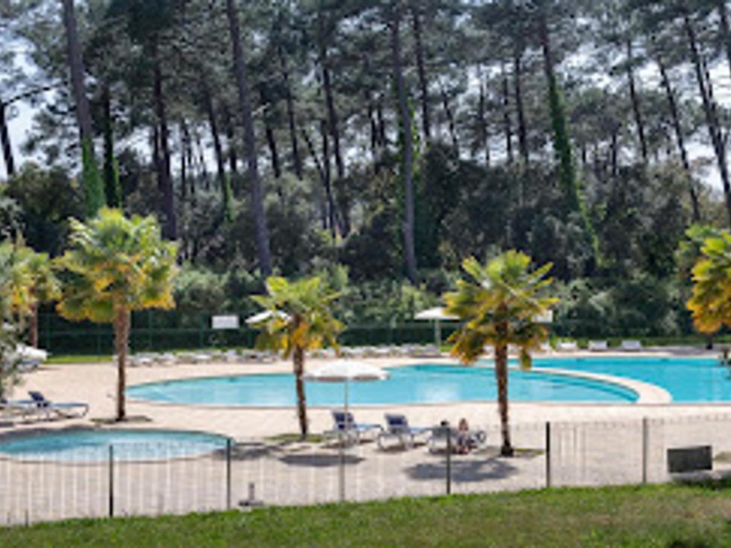 une piscine entourée de palmiers dans un parc dans l'établissement Appartement T4 avec Wi-Fi et parking dans résidence avec activités - FR-1-239-1125, à Ondres