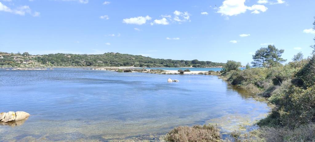 Φυσικό τοπίο κοντά σε αυτό το διαμέρισμα