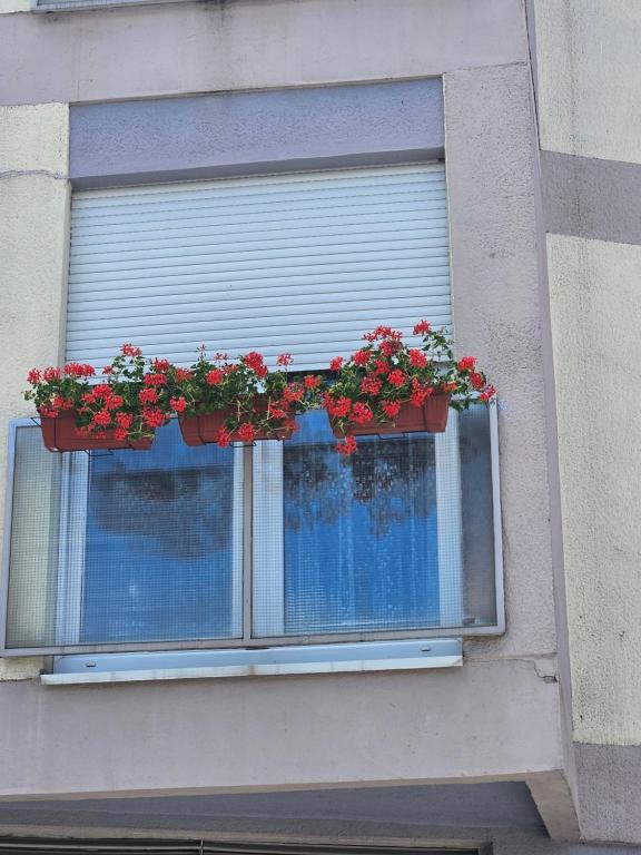 Fotografie z fotogalerie ubytování Apartman Noa v destinaci Knin