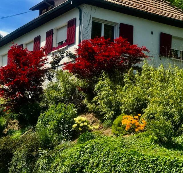 a house with red flowers and plants in front of it at Gite Chez Mimie in Breitenbach-Haut-Rhin