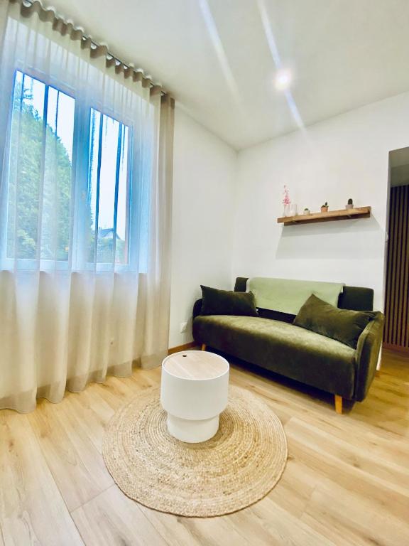 un salon avec un canapé et une table dans l'établissement Appartement cosy avec jardin, à Herrlisheim-près-Colmar