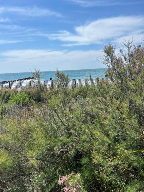 une clôture sur la plage avec l'océan en arrière-plan dans l'établissement 111 Acces direct 3min de la MER,2 places de parking gratuite, terrasse, à Vias