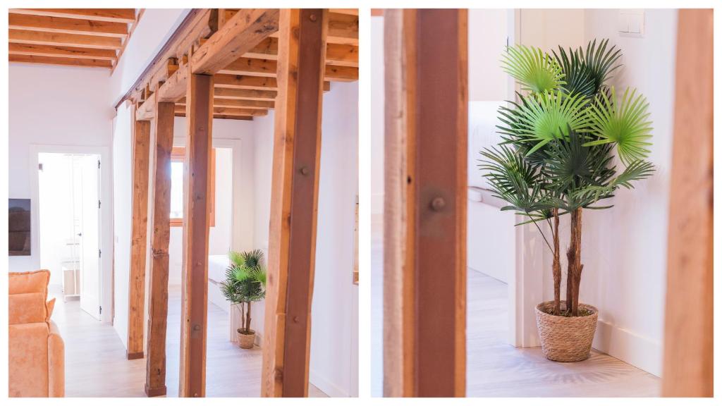 Casas de Trastámara by Toledo AP - 8