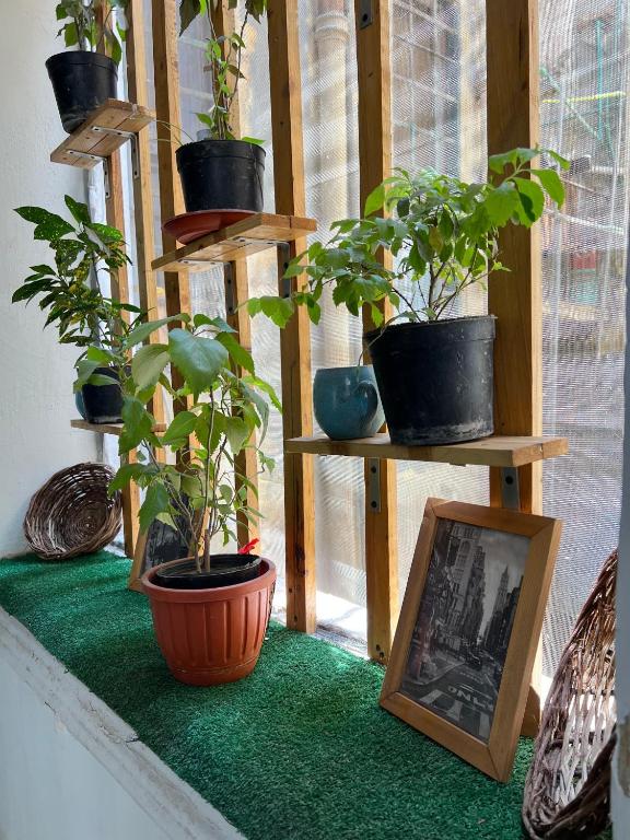 Fotografie z fotogalerie ubytování Rhala Hostel Egypt v Káhiře