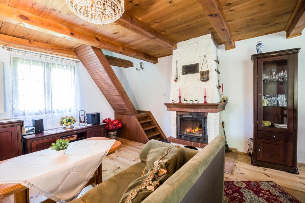 a living room with a couch and a fireplace at Domek Nad Rzeka in Radawa