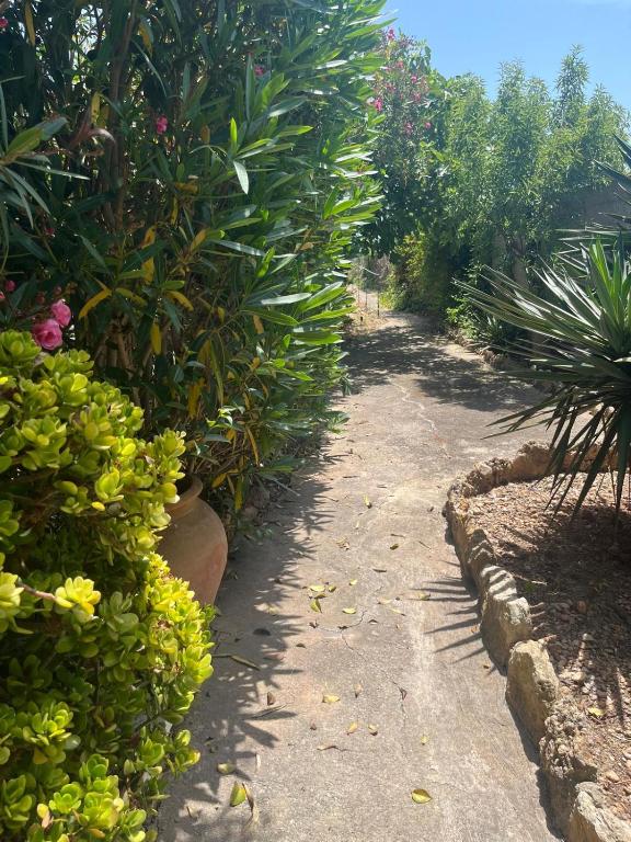 Vonkajšia záhrada v ubytovaní Casa rural frente al mar La Toscana