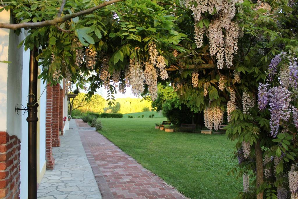 Zahrada ubytování Guest House La Carolina