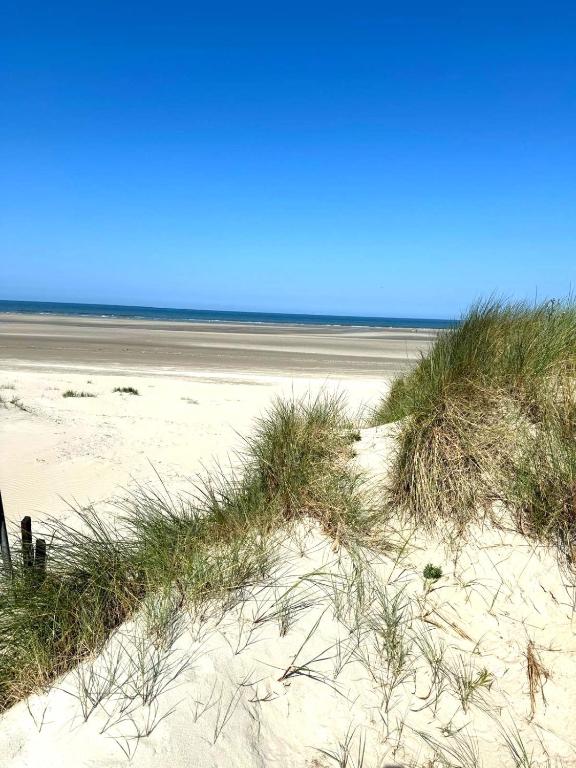 une plage de sable avec gazon et océan en arrière-plan dans l'établissement Camping Cristal d'Opale, à Camiers