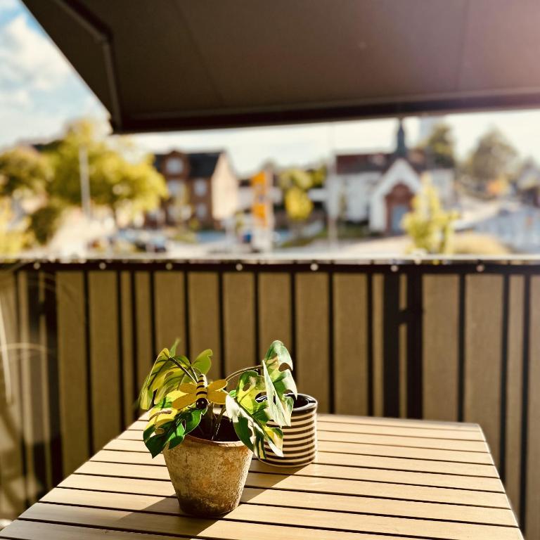 two plants sitting on a wooden table on a balcony at Kapellenblick Seligenstadt in Seligenstadt