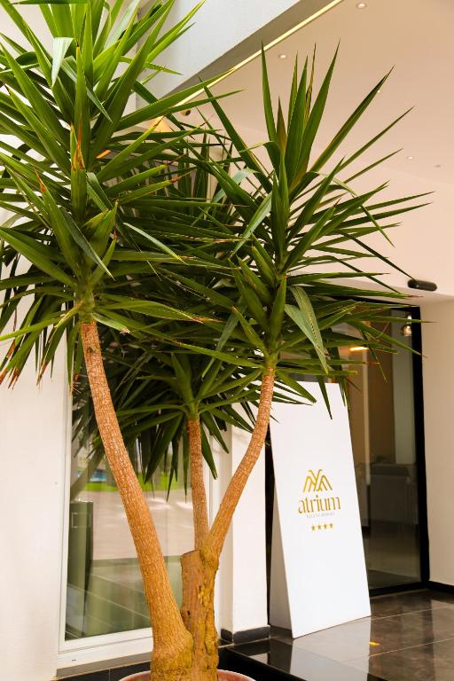 Fotografie z fotogalerie ubytování Atrium Deluxe Resort v destinaci Golem